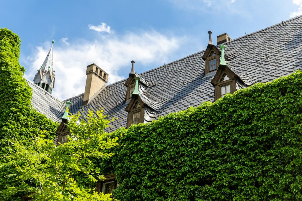 RM Roofing | magdeburg gothic medieval cathedral dom church slate tile roof and green fresh ivy covered old stone