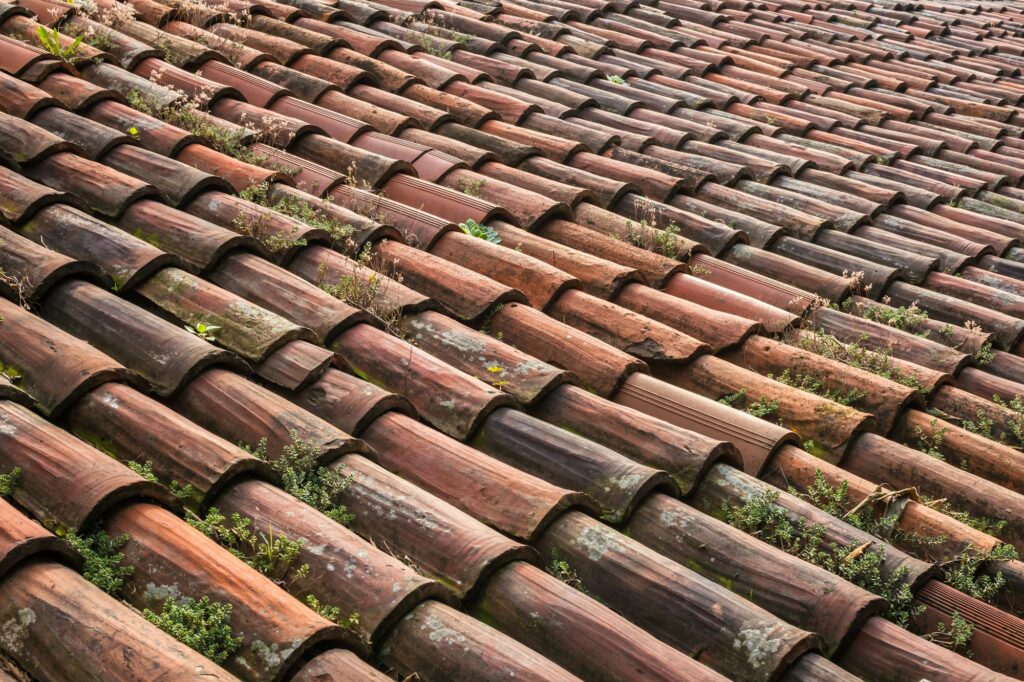 Signs of Roof Damage